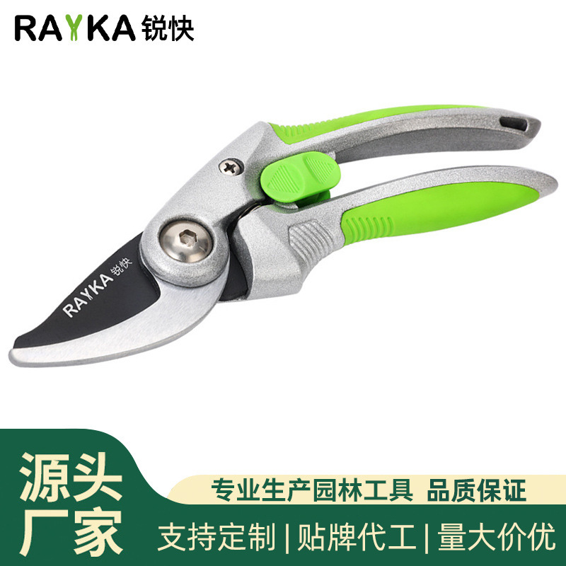 Cây cào và chim ruồi.