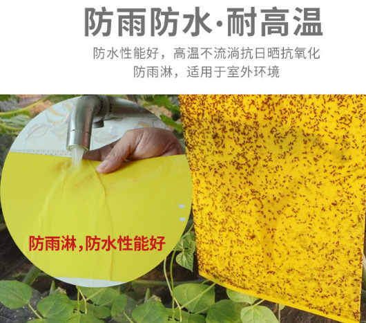 Một công cụ vườn sơn sâu bọ sơn màu sâu bọ dính vào đĩa