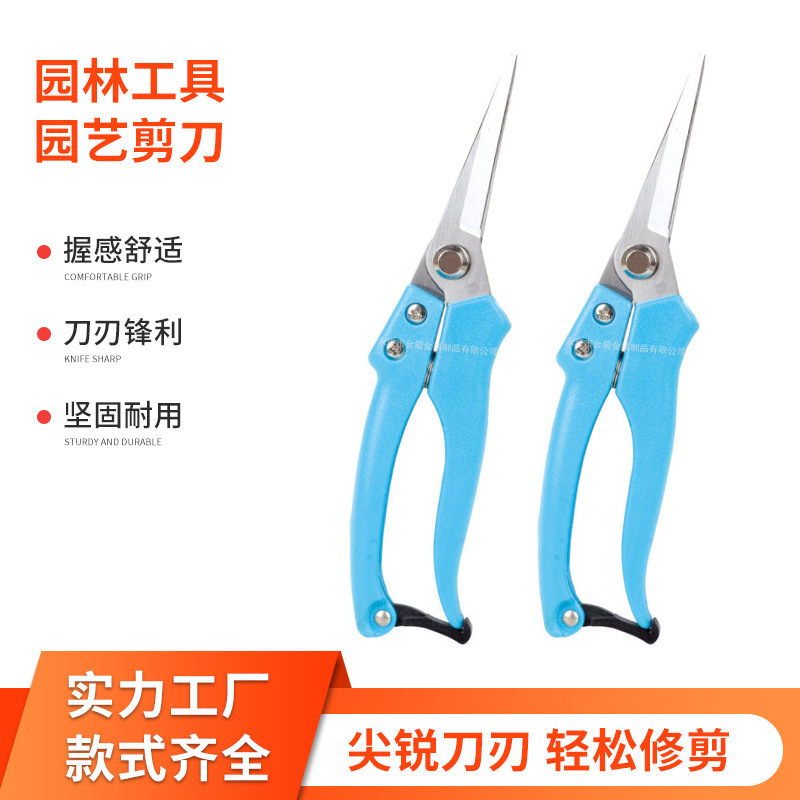 Kéo vườn cây trồng, vườn cây ăn quả, cắt hoa, hớt lông, hớt lông, kéo, kéo, hớt lông, hớt lông.