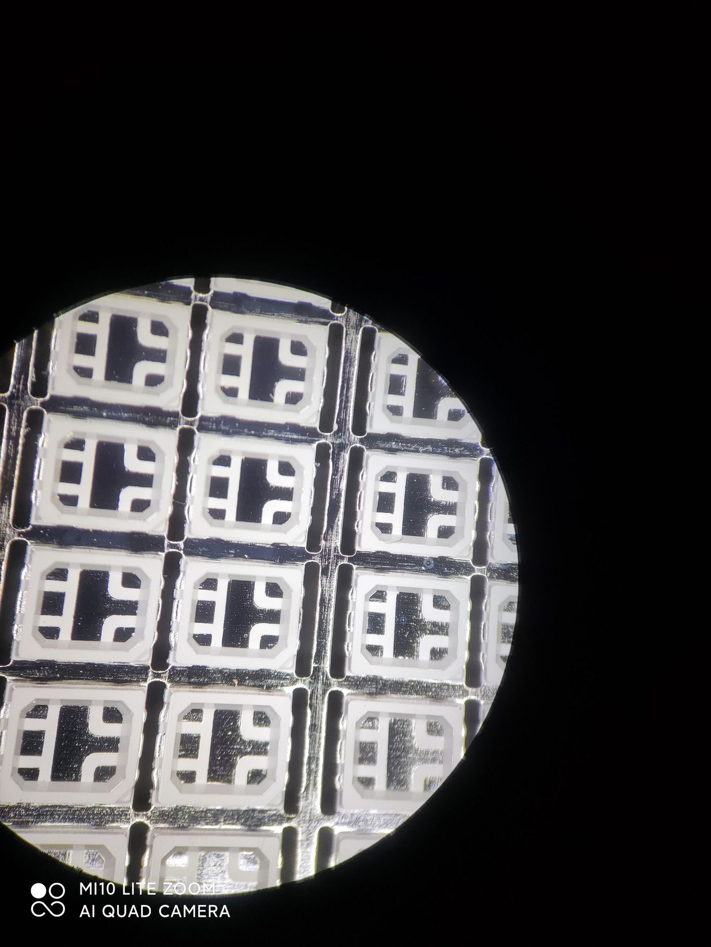 The Eastern LED plant customised 2835 RGB16 platoons