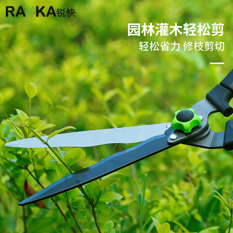Hàng rào nhanh chóng cắt các cây và cắt các cây và cắt hàng rào màu xanh lá cây cắt tóc của nhà máy kéo xanh lá cây.