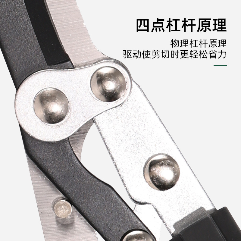 Hàng rào vườn nhanh RH 452666 cắt cỏ và cắt vườn xanh.
