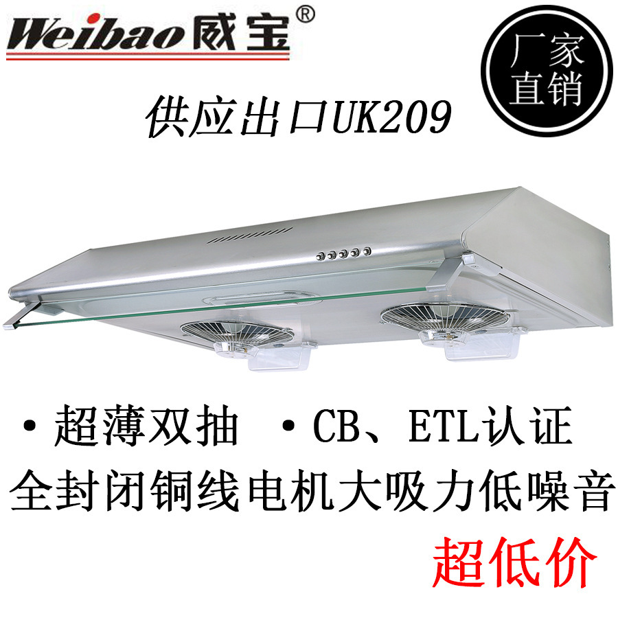 供應薄形209抽油煙機家用出口型110V 家用吸油煙機雙電機ETL認證