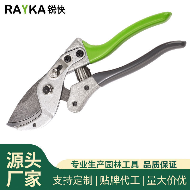 Được cứu bởi thợ cắt tóc mùa xuân.