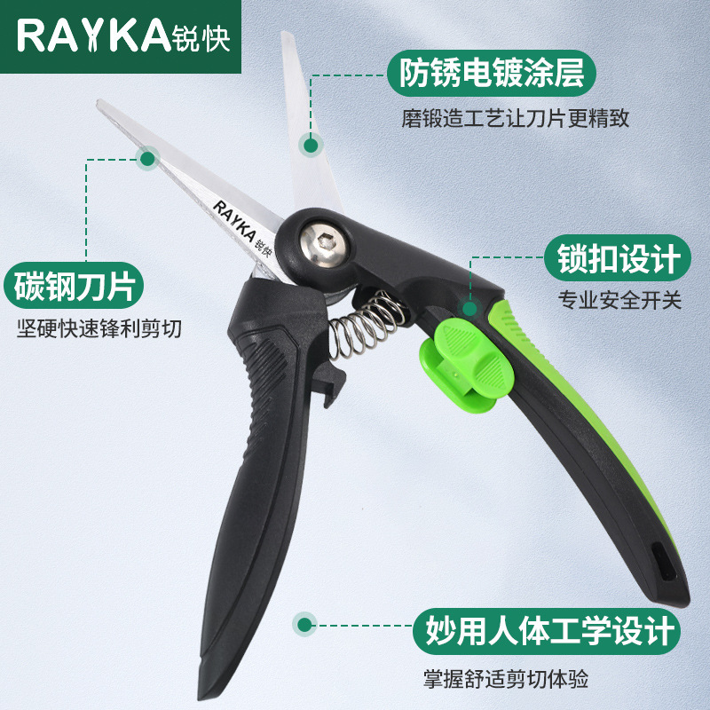 Rửa cây ăn trái để sửa lại vườn hoa và xanh lá cây thợ mộc.