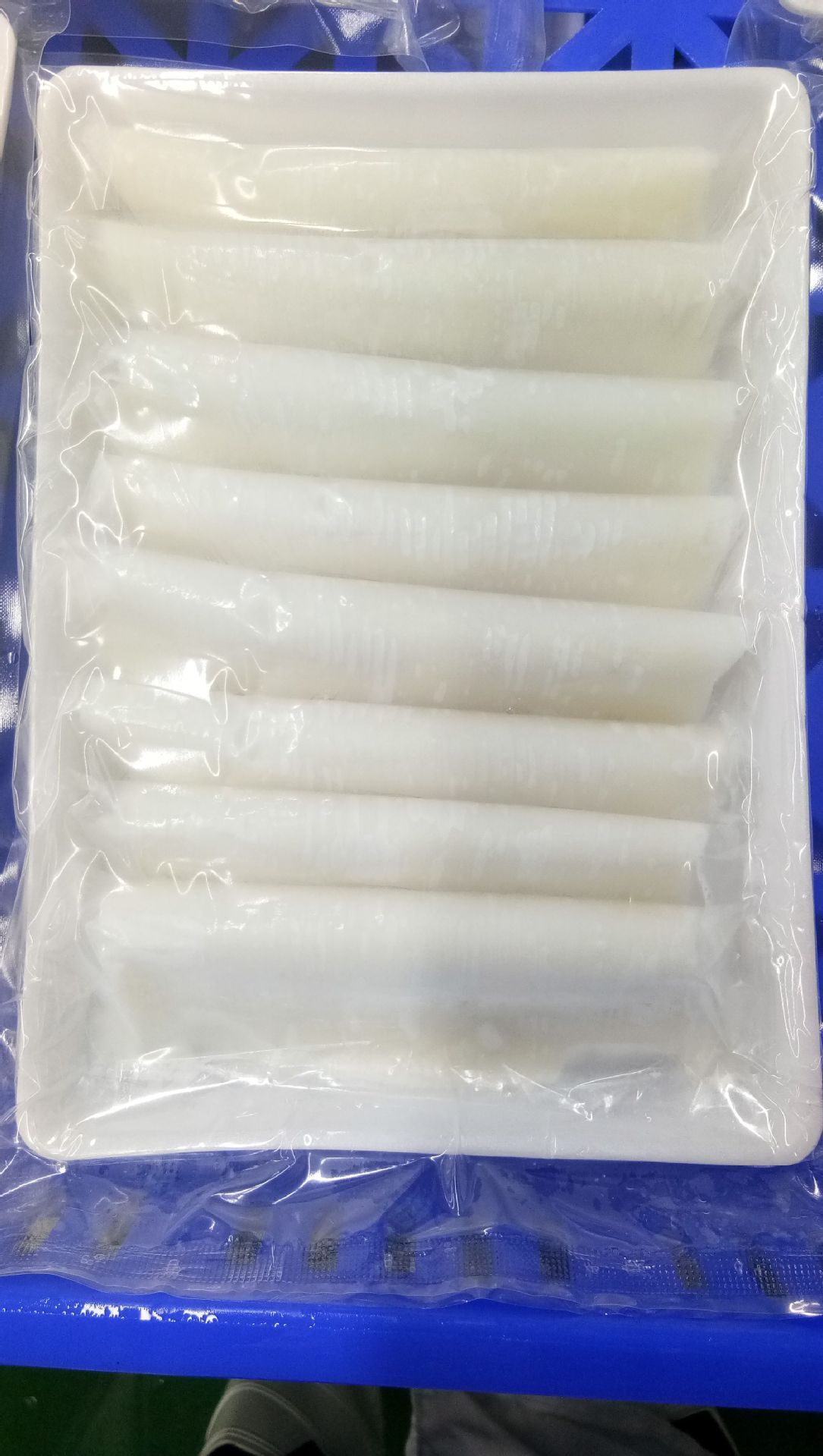 Cho mì mực sống.