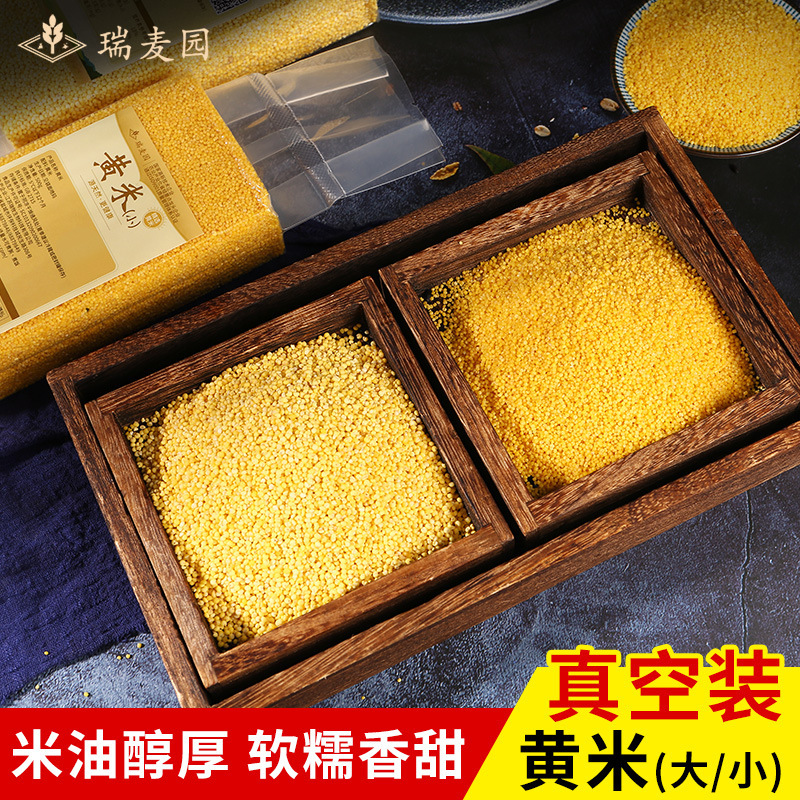 Small and small, 500g yellow rice.