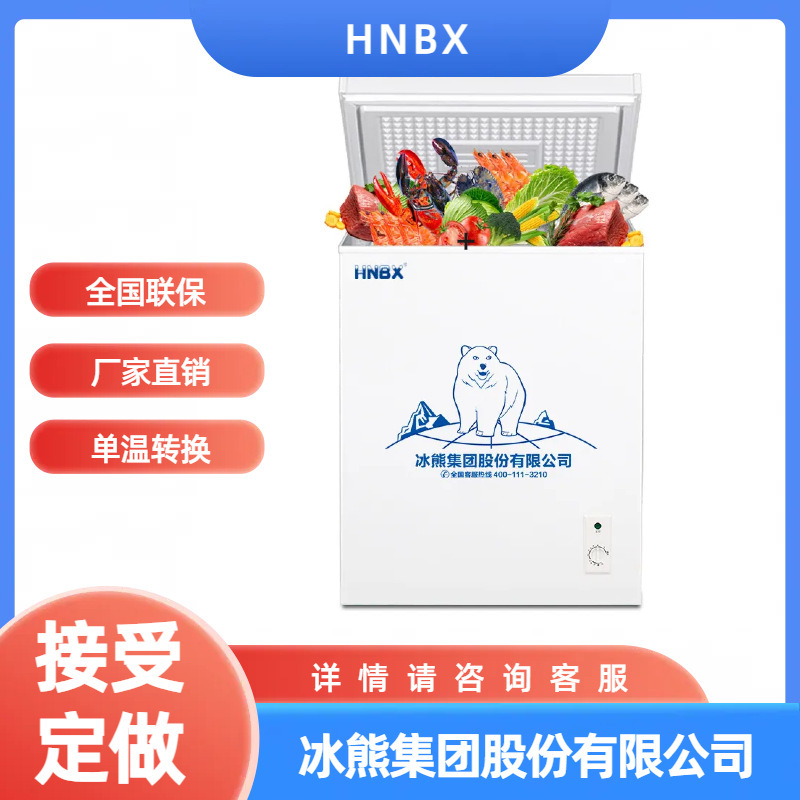 HNBX冰櫃家用小型冷凍商用冷櫃單溫轉換櫃