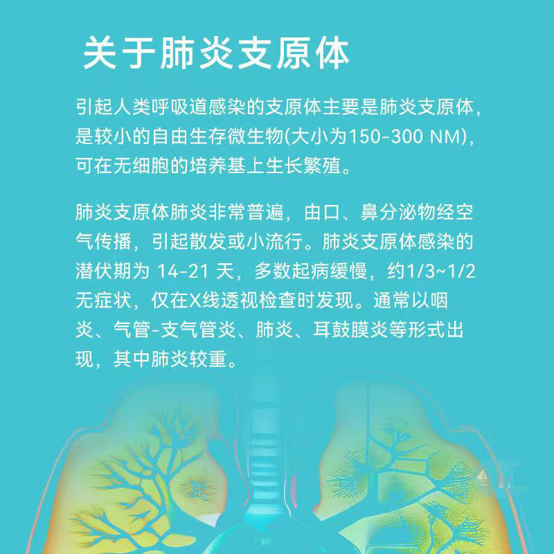 雅培爲正肺炎支原體抗體檢測試劑盒肺炎支原體測試紙25人份大包裝