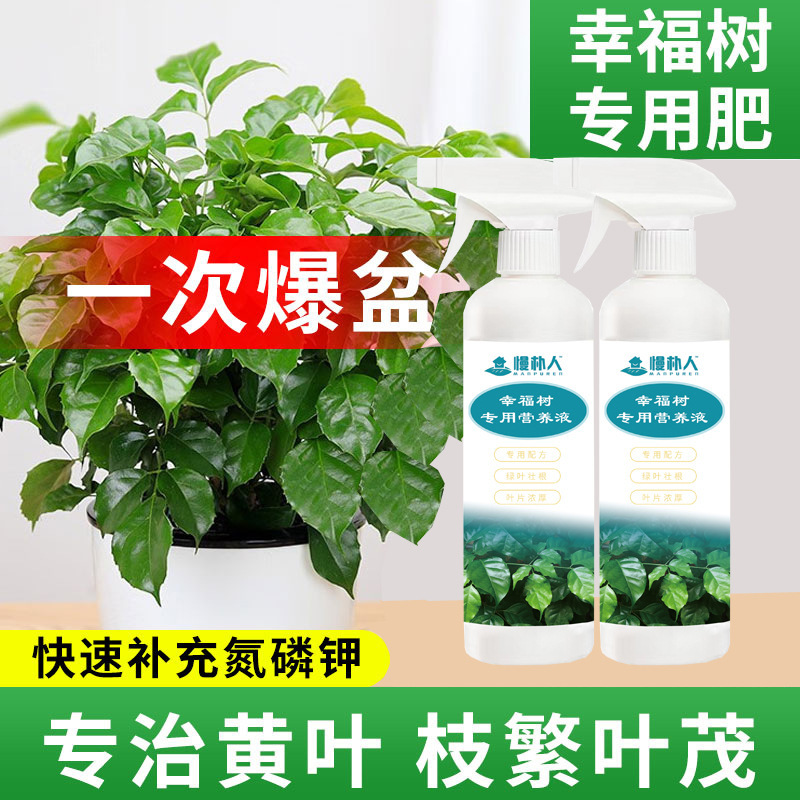 Việc bảo tồn phân bón cho cây hạnh phúc được miễn phí từ các nhà máy phun cầu mỏng sản xuất hoa và phân bón lỏng.