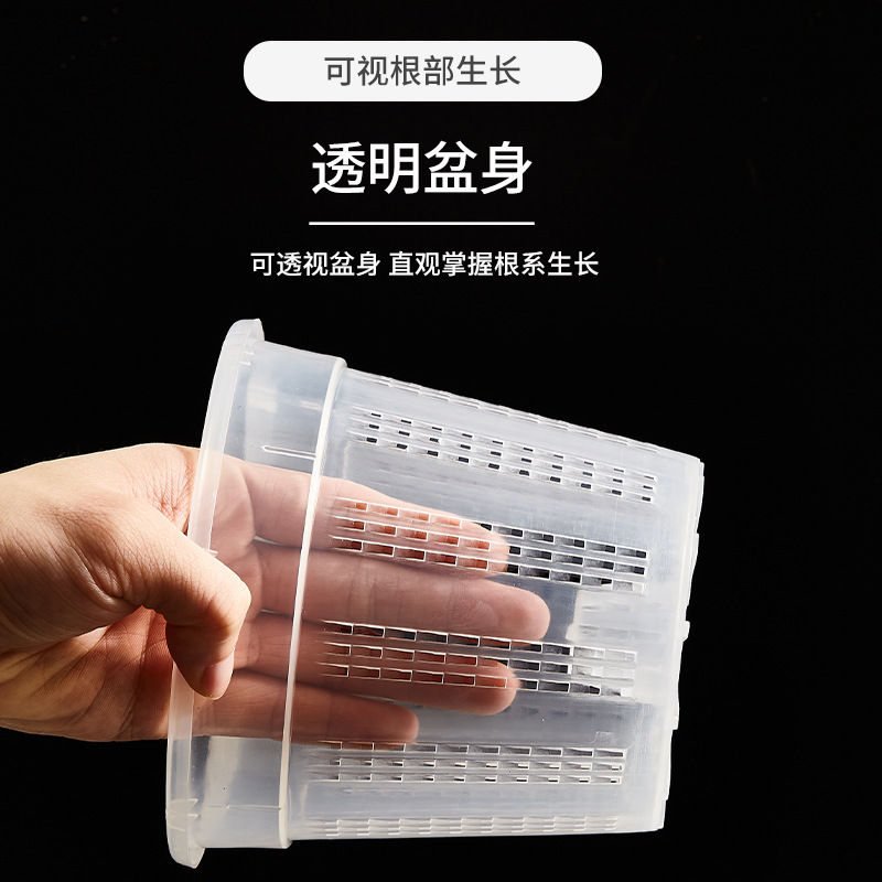 Cột không khí của lỗ thông hơi là màu xanh lá cây, hoa lan bướm đang mục nát trong bộ phận điều khiển mạch chủ.