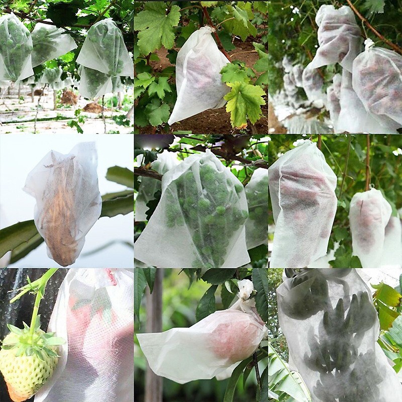 Một túi trái cây và rau quả bảo vệ chống lại các loài côn trùng mang thai và một túi trái cây và rau quả cho mặt trời và hoa hồng mà không có một túi nho xoáy