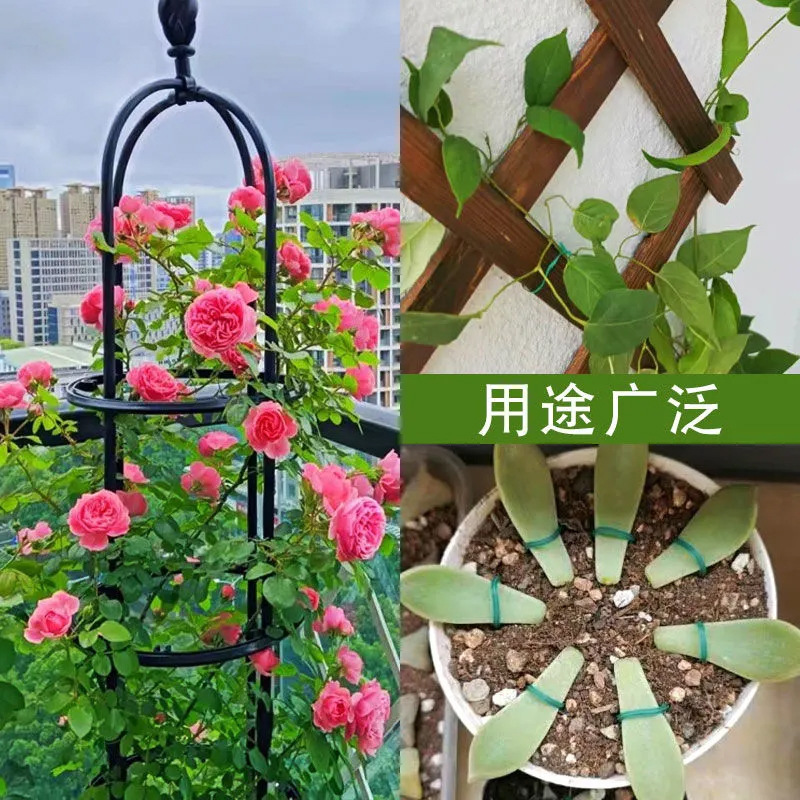 Cơn gió mùa Zaline kéo các bó khoáng chất của Zaves và Zaves và chay.