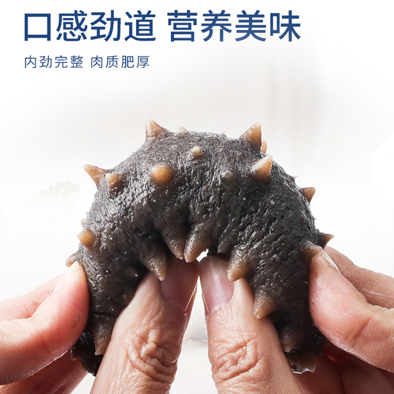 이 공장은 즉시 바다 cucumbers를 제공하고, 살아있는 상자는 바다 cucumbers 및 준비되어 있는 식사로 적재됩니다.