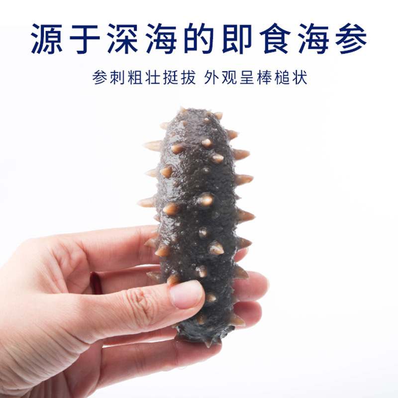 이 공장은 즉시 바다 cucumbers를 제공하고, 살아있는 상자는 바다 cucumbers 및 준비되어 있는 식사로 적재됩니다.