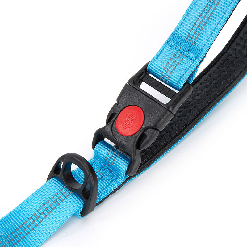 The source 2023 cross-border Amazon pets explosive charge against blast-truck dog rope.