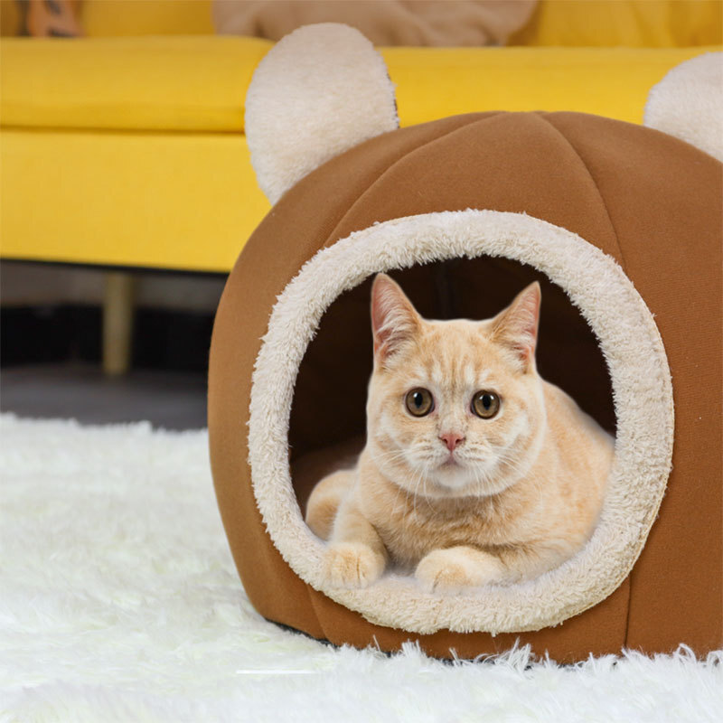 The small and medium-sized Autumn Pussy Room is half-closed to the Hot Pussy Room.