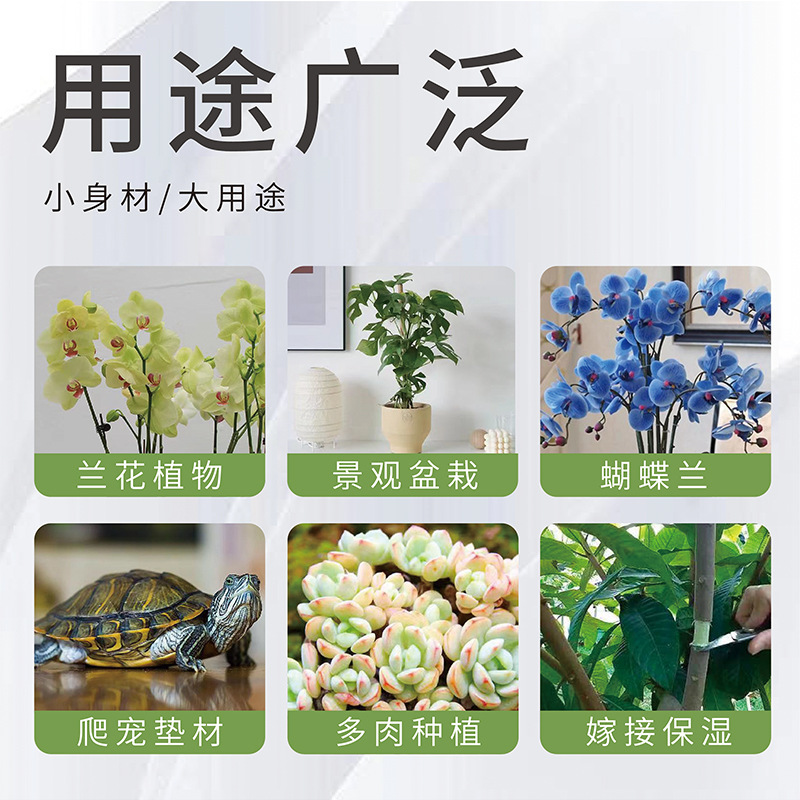 Hoa lan thảo thảo mộc khô.