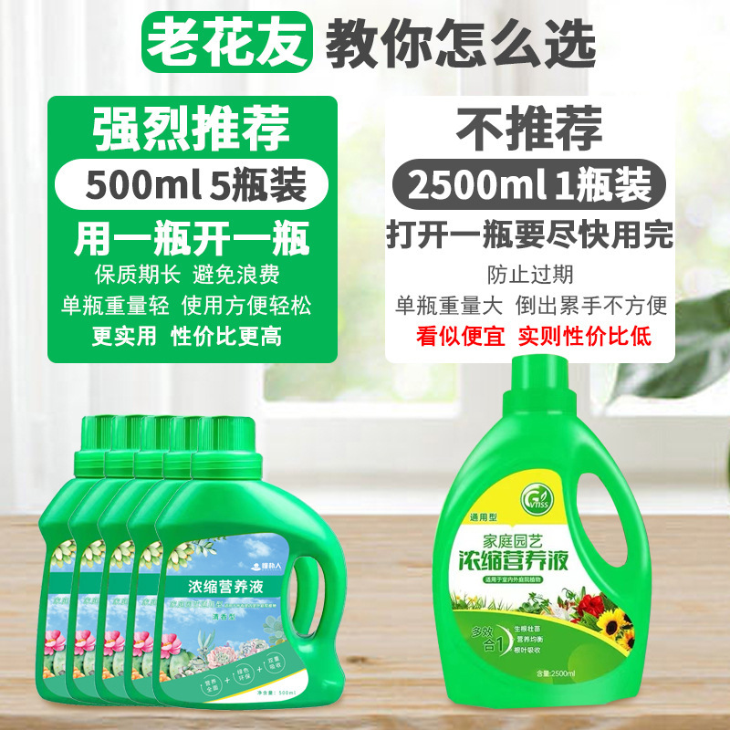 Nhà máy quang sinh học, loại cây phong phú, là phân bón hoa.