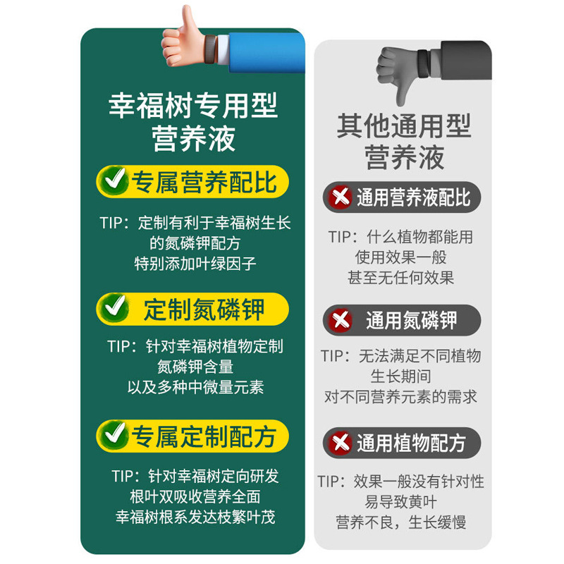 Việc bảo tồn phân bón cho cây hạnh phúc được miễn phí từ các nhà máy phun cầu mỏng sản xuất hoa và phân bón lỏng.