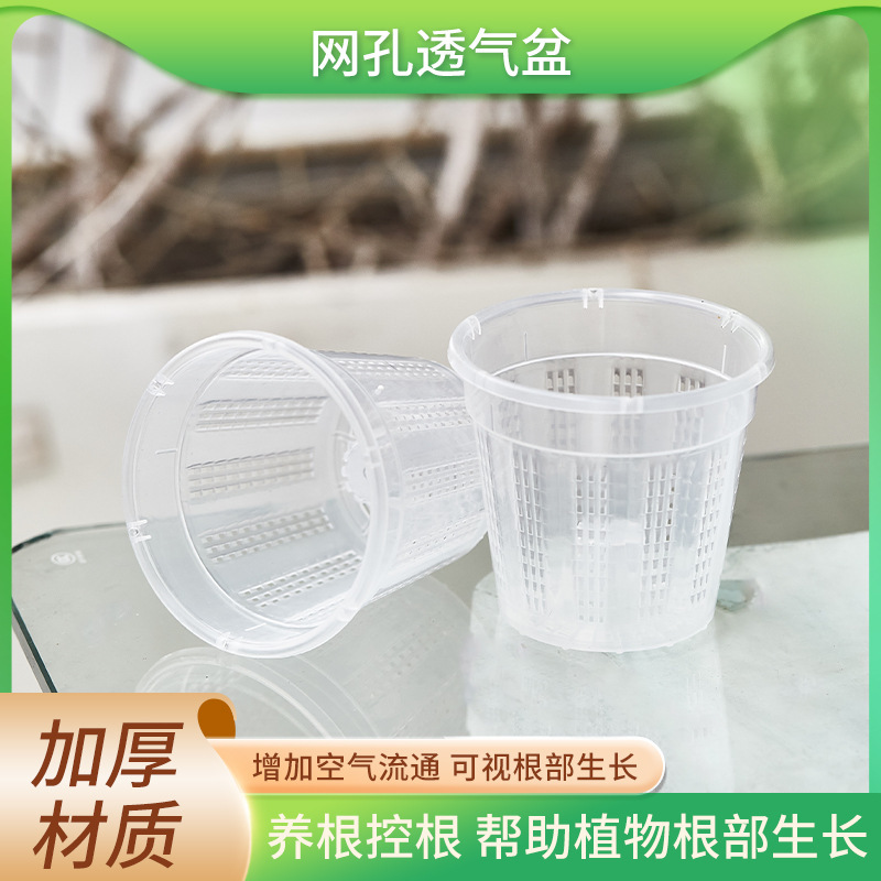Cột không khí của lỗ thông hơi là màu xanh lá cây, hoa lan bướm đang mục nát trong bộ phận điều khiển mạch chủ.