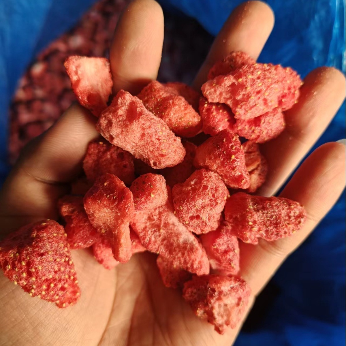 Source factory FD dryberries, 500g swirling of veal and snow-cooking, leisure-eating raw materials