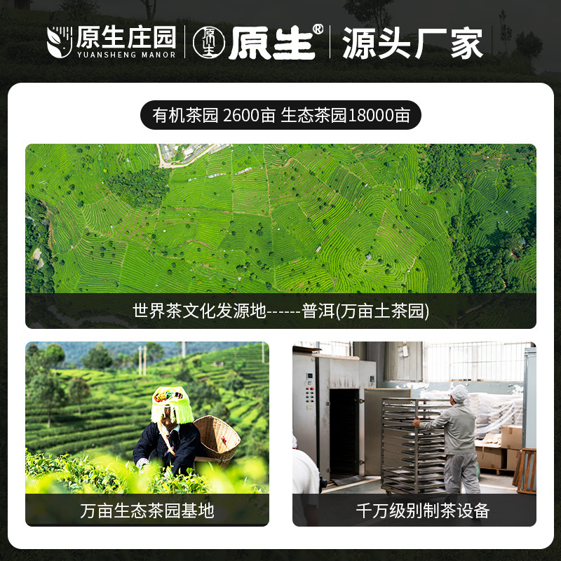 Bất động sản nguyên thủy, Yunnan thợ ống nước, có 337g phòng trà tinh chế và trà cô đặc.