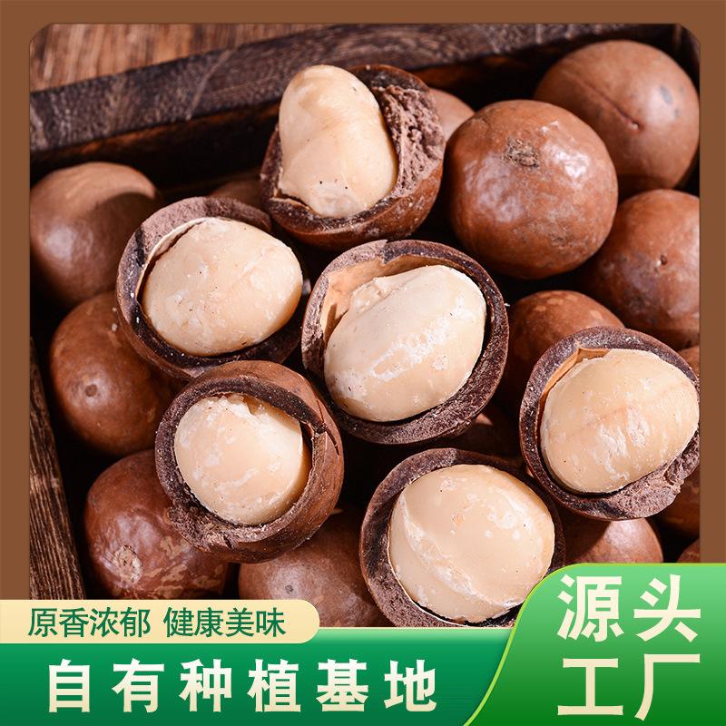 Yunnan went to the Hawaiian nut-fruit and baked the Hawaiian nut and meat.