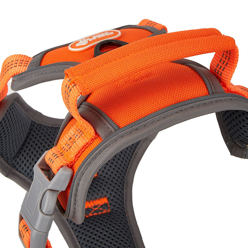 2023 new APA pet appliance, Amazon blast-proof.