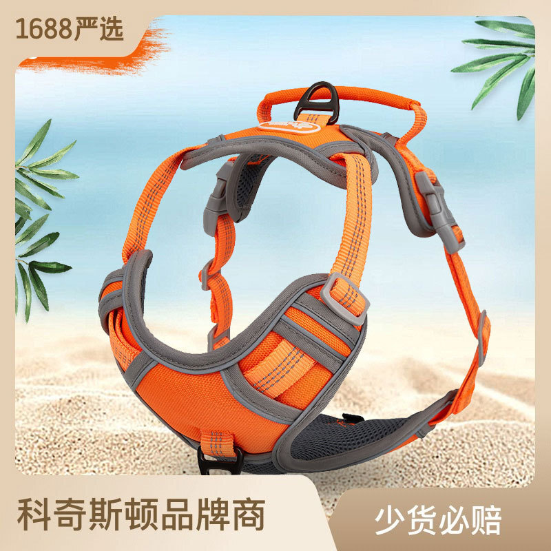 2023 new APA pet appliance, Amazon blast-proof.