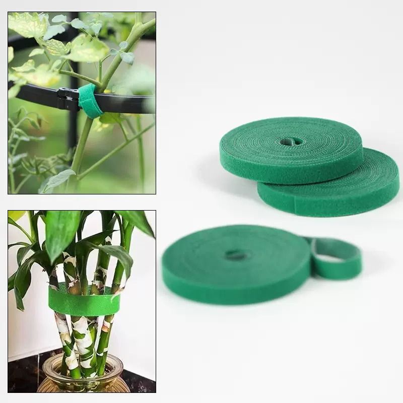 Những nhãn màu xanh lá cây với những nylon văn hóa và những bó hoa thực vật.
