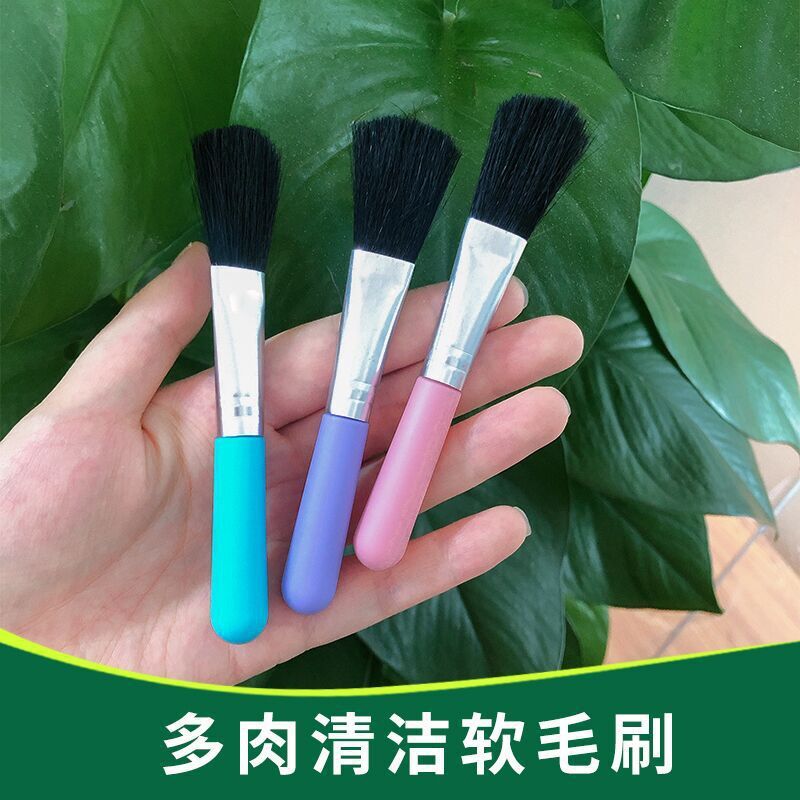 Công cụ làm vườn dẻo xoáy quanh những cây trồng trồng màu xanh lá cây xanh lá cây để trồng những bụi nhỏ
