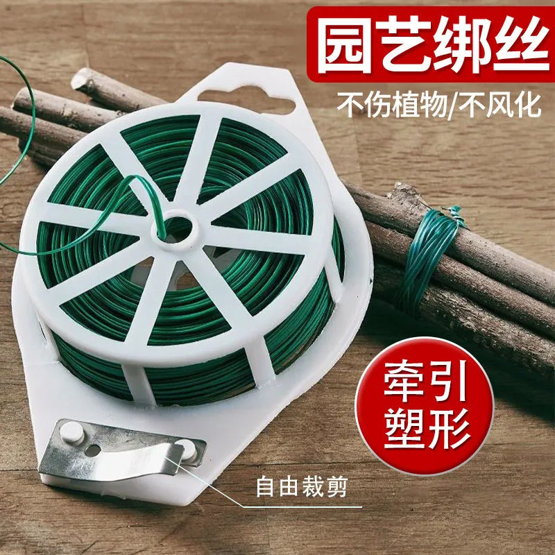 Cơn gió mùa Zaline kéo các bó khoáng chất của Zaves và Zaves và chay.