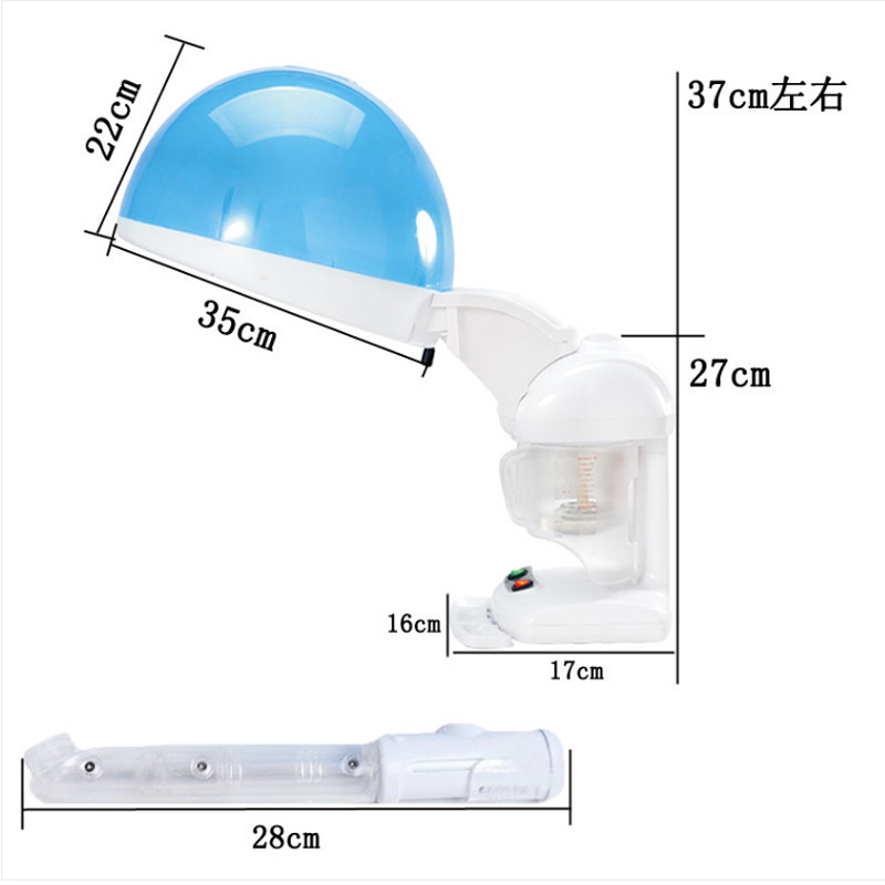 Home-based Nano-Face 스프레이어, Hot-Face 스프레이어, Oil-Stealing Gas Companion, 도매