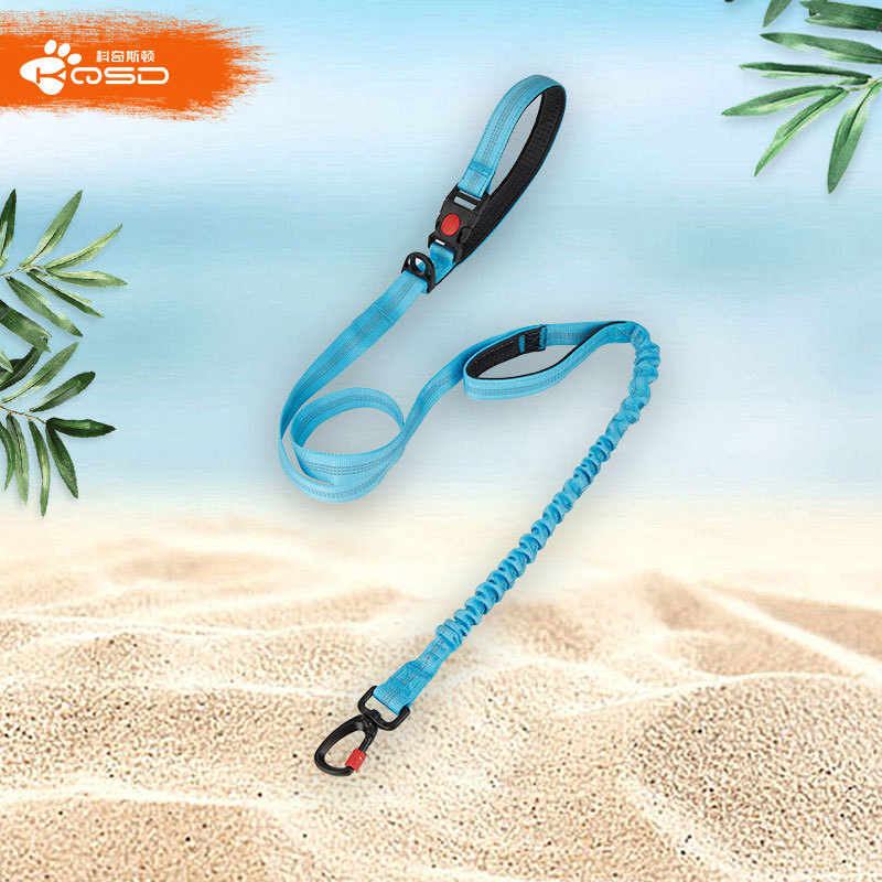 The source 2023 cross-border Amazon pets explosive charge against blast-truck dog rope.