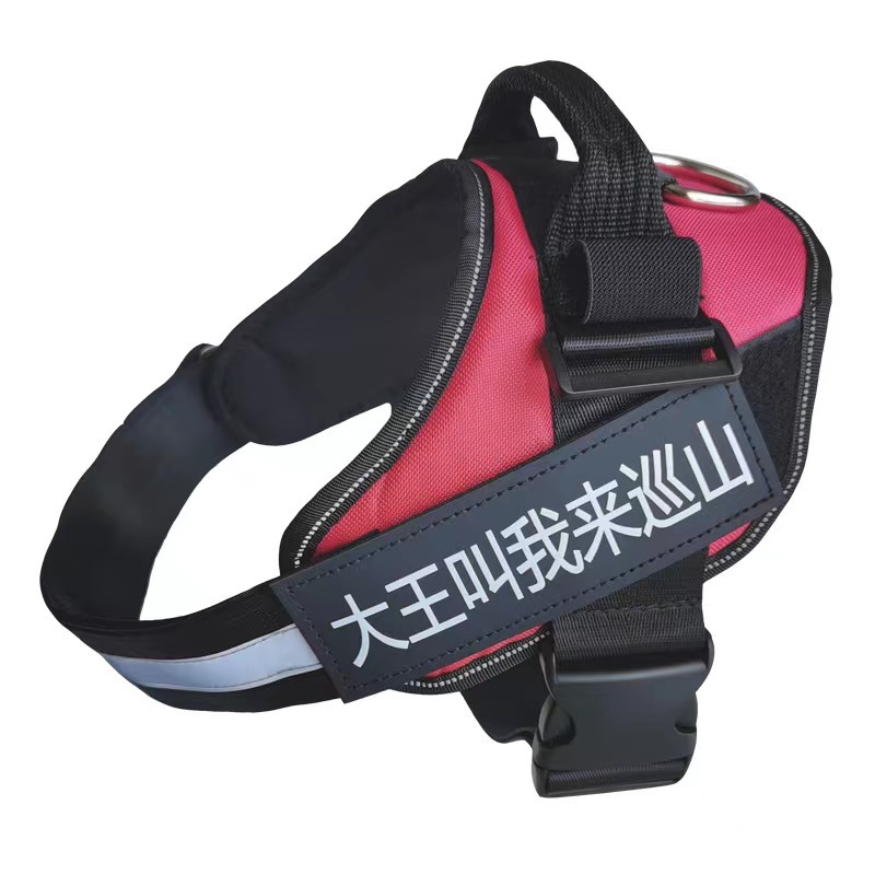 A big dog towed cord blast-proof seatbelt in a dog.