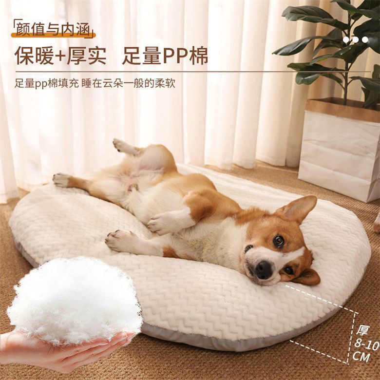 Con chó cưng thích thú cưng nhẹ nhàng thoải mái cùng nhau.