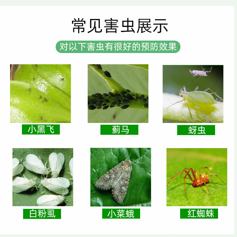 Toàn bộ, chất chống giun, phân bón có đường, nguyên liệu nguyên liệu nguyên liệu, một phần của loài côn trùng chống côn trùng xanh.