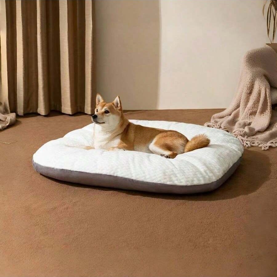 The pet-heating dog softly-loved pet-comfort-fellow-cat-comfort.
