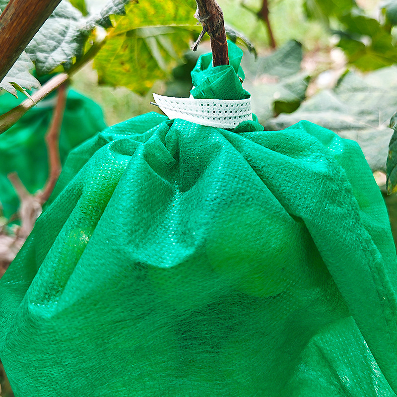 A free-sweet bag of cherries and vermin.