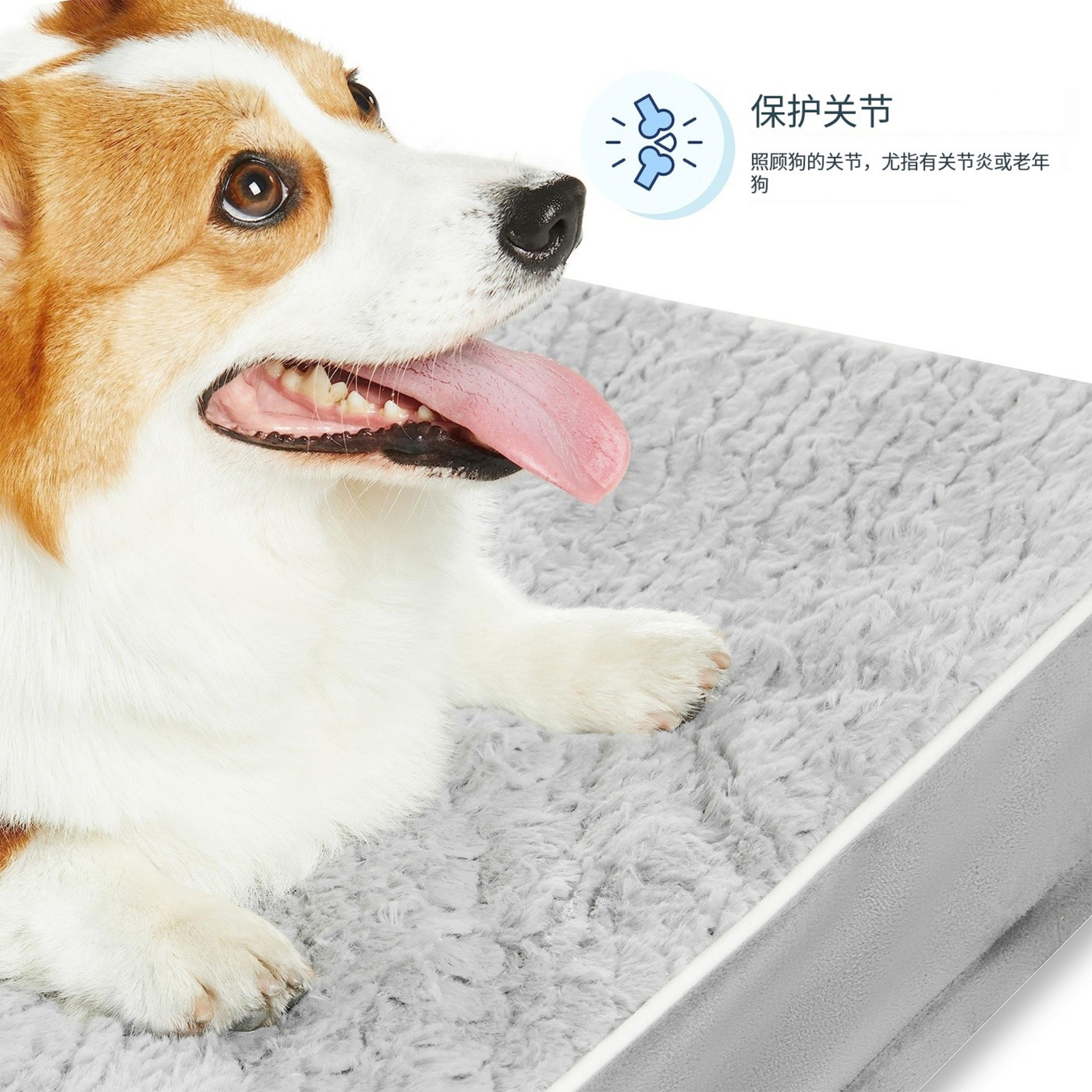 Autumn and winter's warm dog mats are comfortable and thicker.