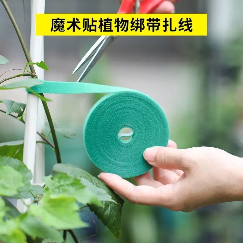 Những nhãn màu xanh lá cây với những nylon văn hóa và những bó hoa thực vật.