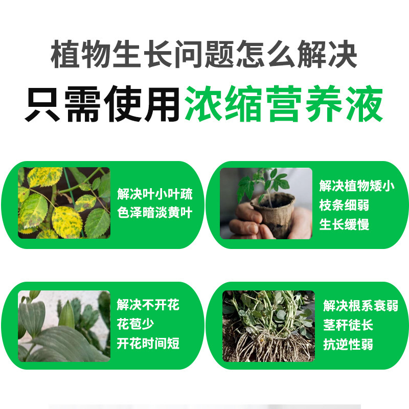 Nhà máy quang sinh học, loại cây phong phú, là phân bón hoa.