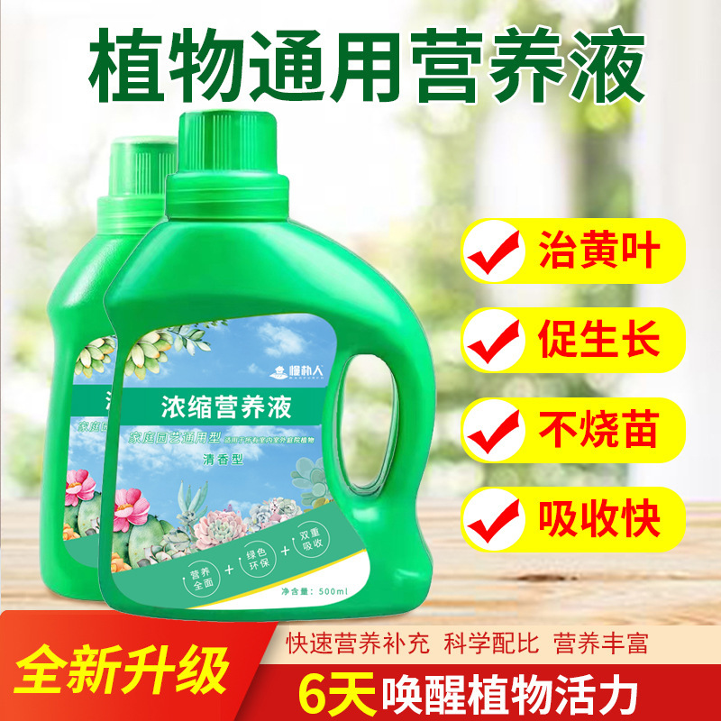 Nhà máy quang sinh học, loại cây phong phú, là phân bón hoa.