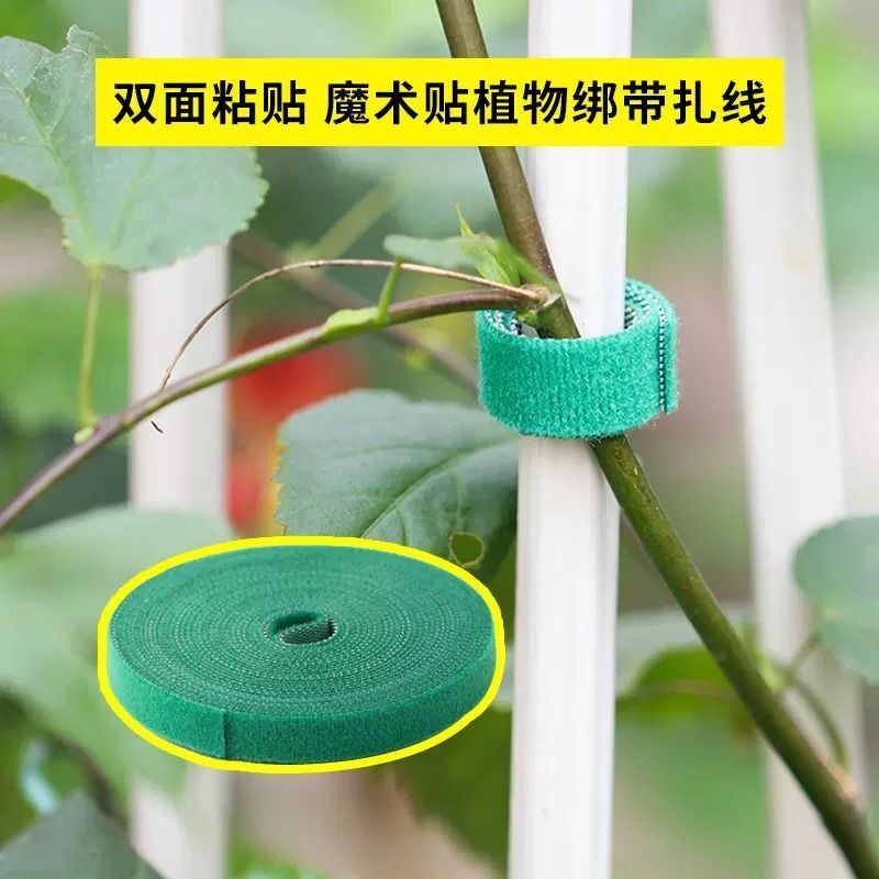 Những nhãn màu xanh lá cây với những nylon văn hóa và những bó hoa thực vật.