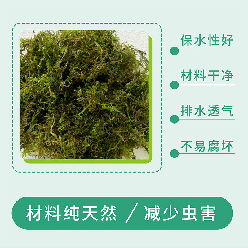 Hoa lan thảo thảo mộc khô.