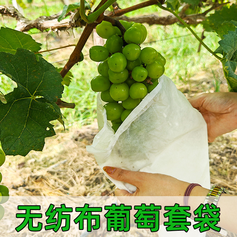 无纺布葡萄专用套袋育果袋火龙果无花果防鸟套袋果园防虫批发