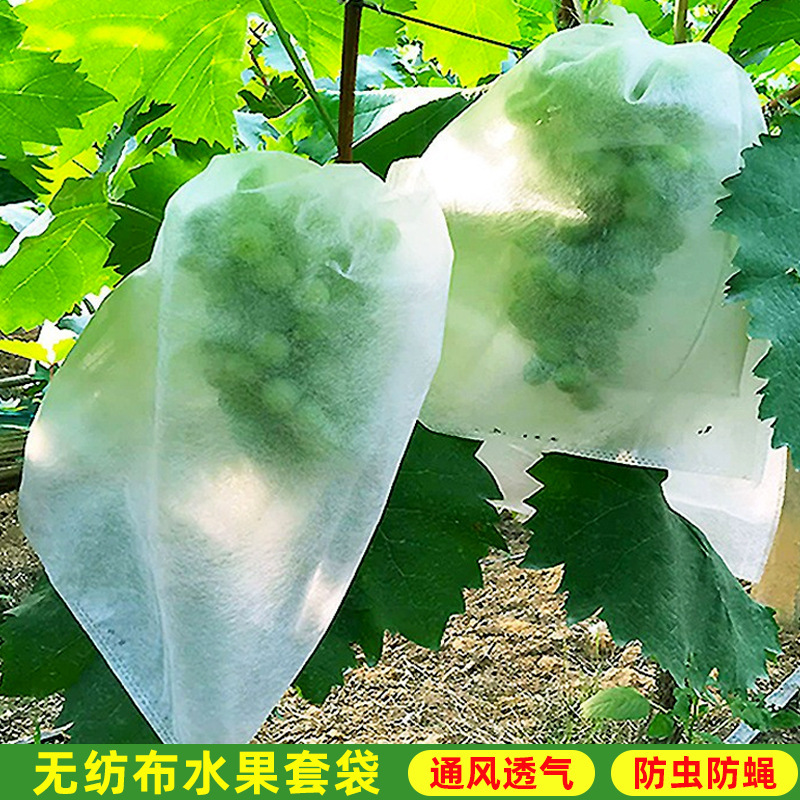 Một túi trái cây và rau quả bảo vệ chống lại các loài côn trùng mang thai và một túi trái cây và rau quả cho mặt trời và hoa hồng mà không có một túi nho xoáy