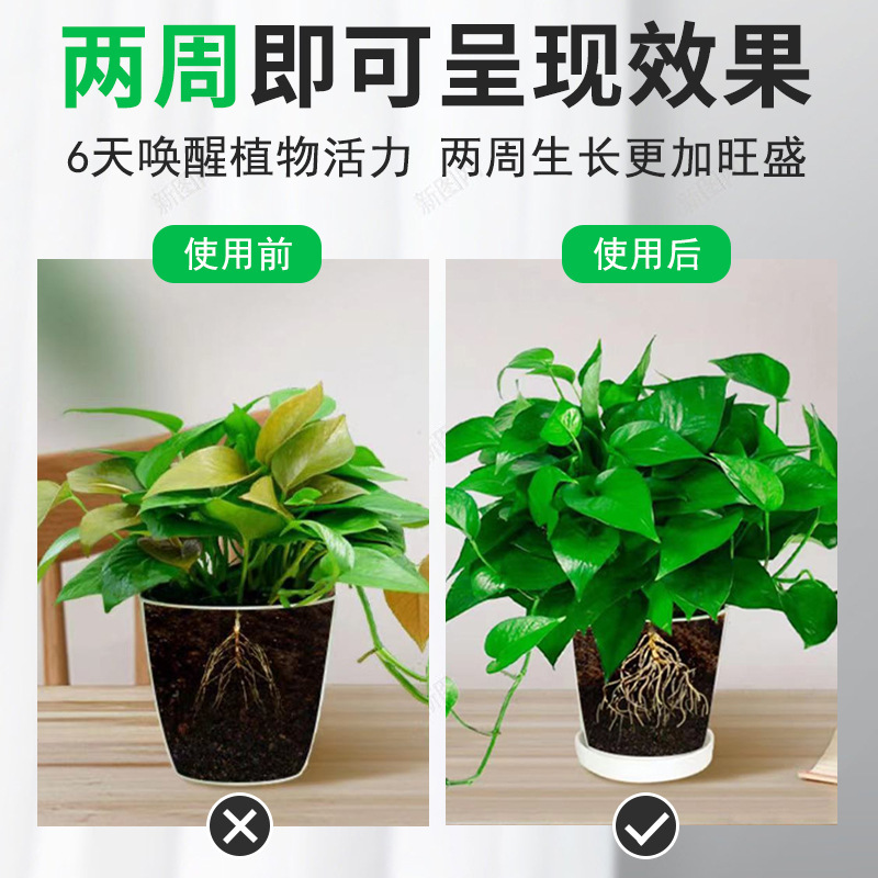 Nhà máy quang sinh học, loại cây phong phú, là phân bón hoa.