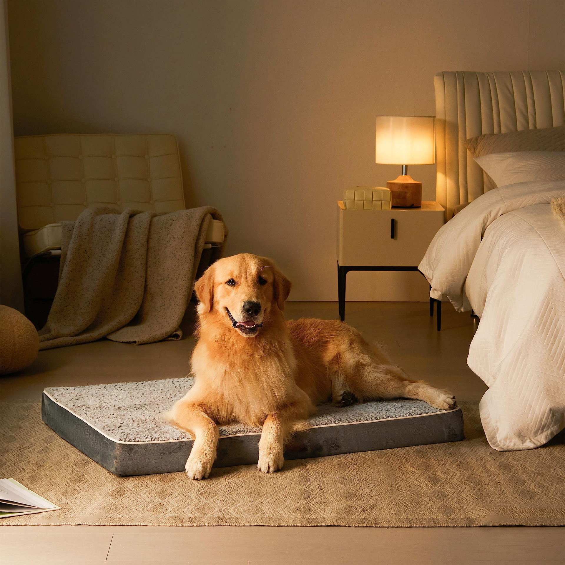 Autumn and winter's warm dog mats are comfortable and thicker.